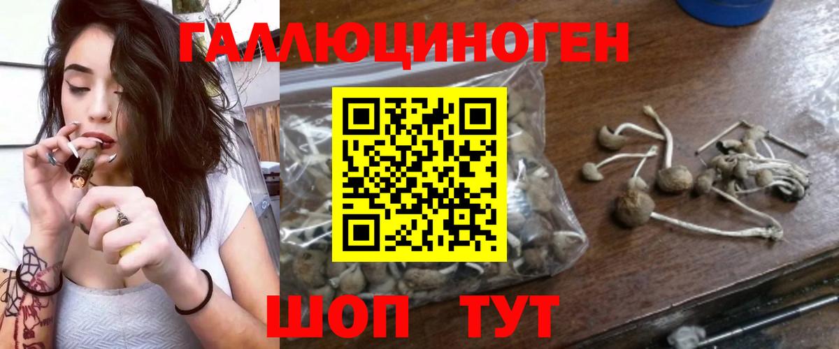 наркота  Вход с VPN  Сальск  Галлюциногенные грибы прущие грибы 
